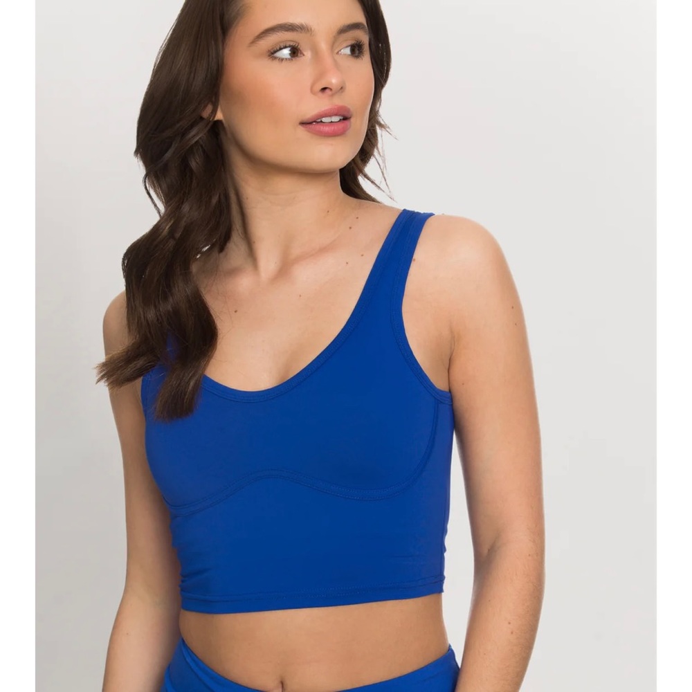 Gold Hinge Cobalt Lined Crop Bra Top NWT